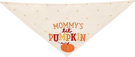 Frisco Mommy's Lil Pumpkin Dog & Cat Bandana, X-Small/Small