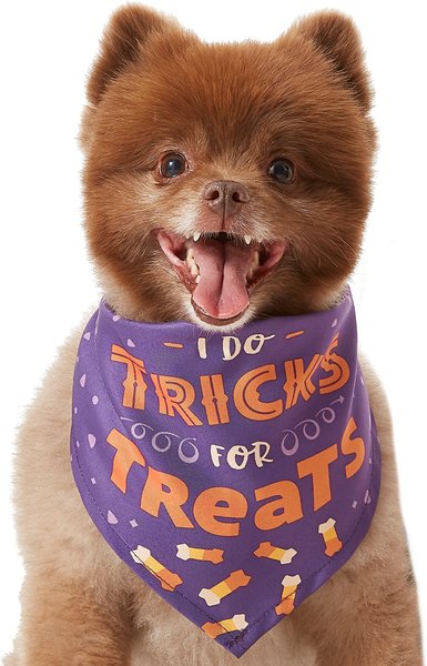 Frisco I Do Tricks for Treats Dog & Cat Bandana, X-Small/Small slide 1 of 8