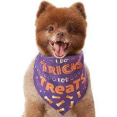Frisco I Do Tricks For Treats Dog & Cat Bandana, X-Small/Small