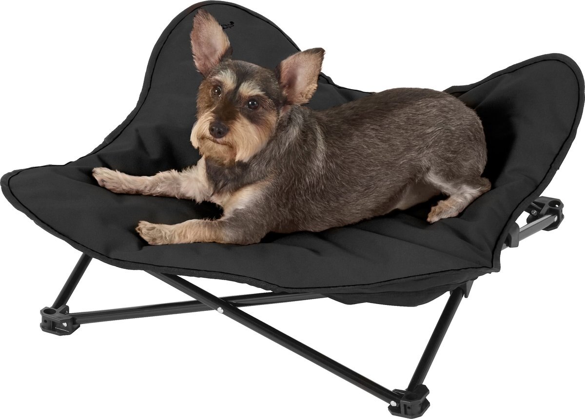HDP Padded Napper Elevated Dog Bed, Black, Medium