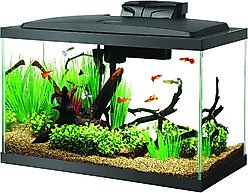 Aqueon LED Fish Aquarium Starter Kit, 10-gal