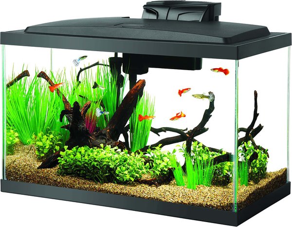 Aqueon LED Fish Aquarium Starter Kit, 10-gal slide 1 of 10