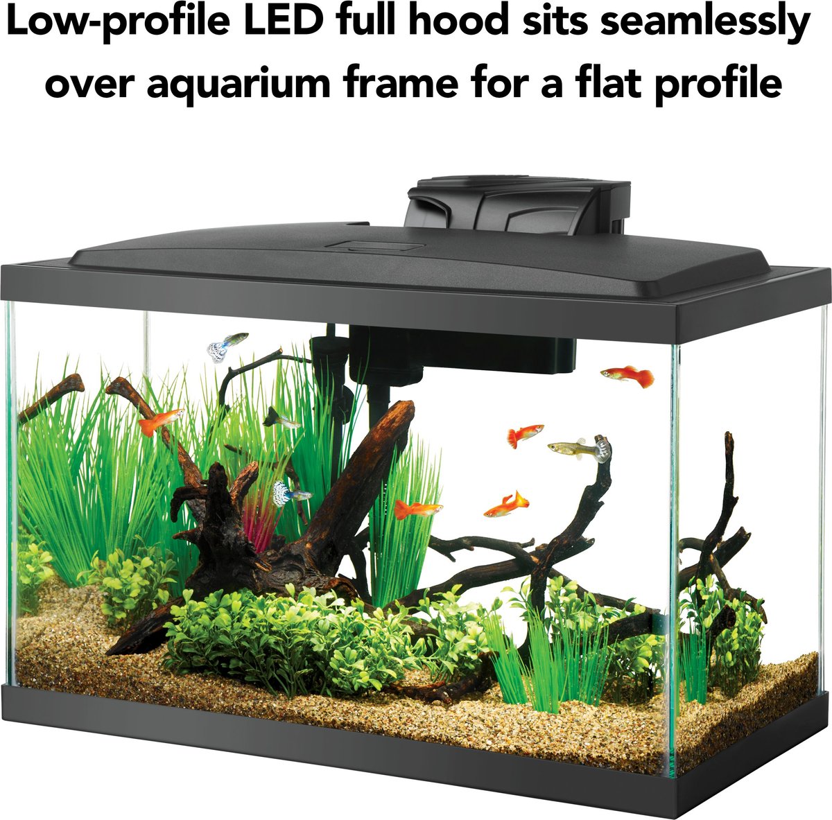 Aqueon LED Fish Aquarium Starter Kit, 10-gal