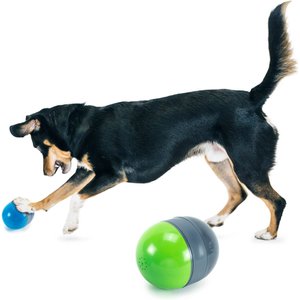 Snuffle Dog Ball – Puppy Protection