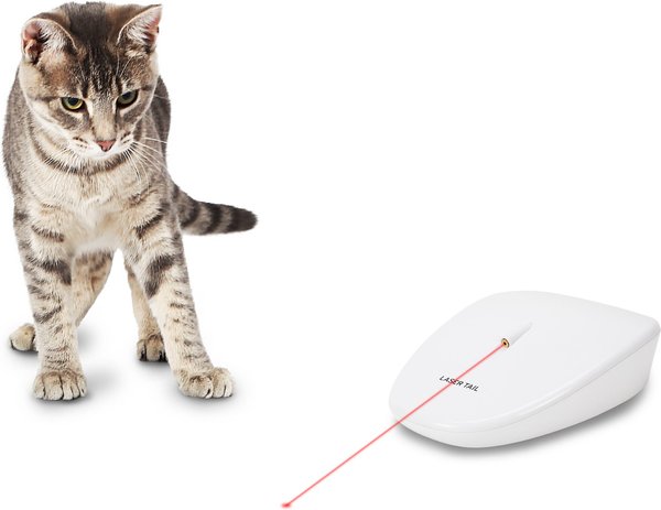 PetSafe Laser Tail Laser Cat Toy slide 1 of 10