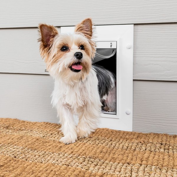 PetSafe Wall Entry Dual Flap Pet Door with Closing Panel, White, Small slide 1 of 7