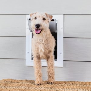 PetSafe Wall Entry Dual Flap Pet Door with Closing Panel, White, Medium