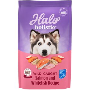 Halo Holistic Wild Salmon & Whitefish Dog Food Recipe Adult Dry Dog Food Bag, 21-lb bag 