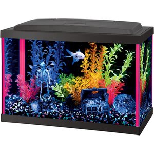 Aqueon LED NeoGlow Aquarium Starter Kit, Pink, 5.5-gal