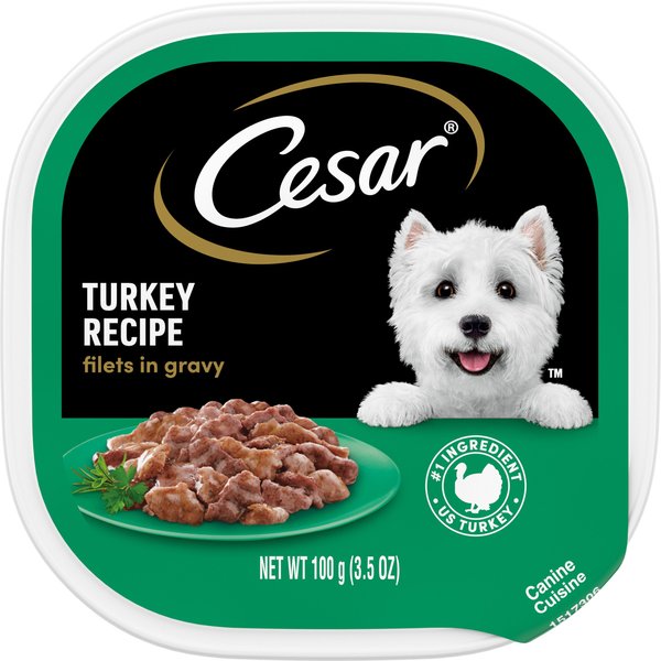 Cesar Turkey Recipe Filets in Gravy Adult Wet Dog Food Trays, 3.5-oz, case of 24 slide 1 of 10