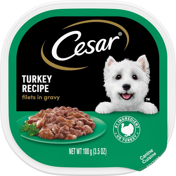 CESAR Turkey Recipe Filets in Gravy Small Breed Adult Wet Dog Food Trays 3.5 oz case of 24 Chewy