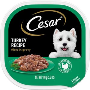 Cesar Turkey Recipe Filets in Gravy Small Breed Adult Wet Dog Food Trays, 3.5-oz, case of 24