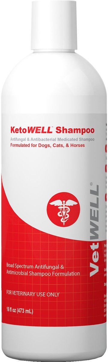 Well and hotsell good cat shampoo