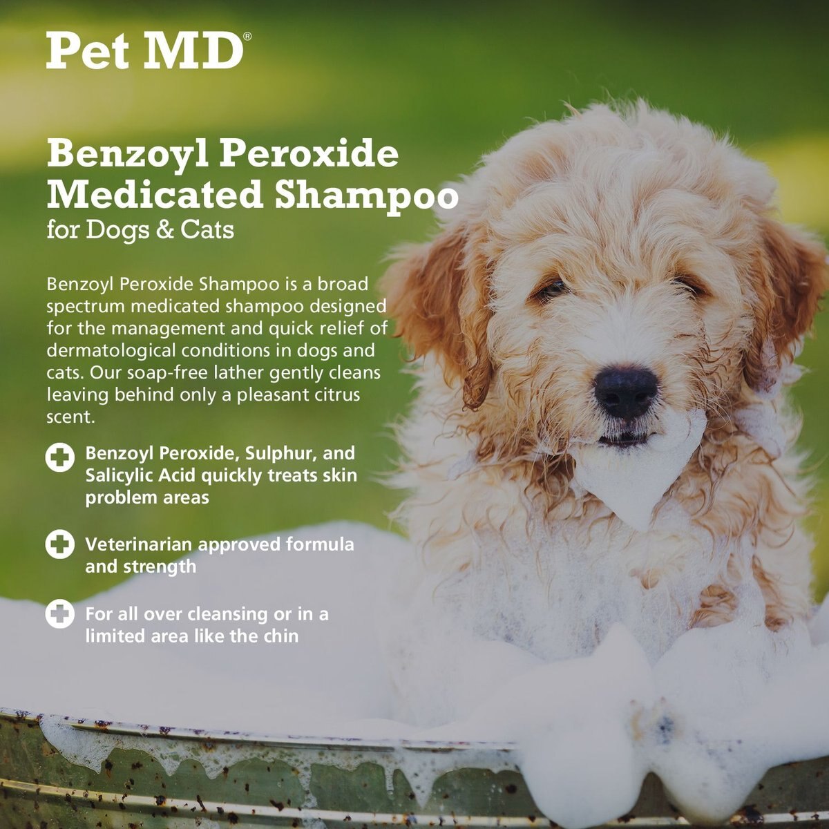 PET MD Benzoyl Peroxide Dog & Cat Shampoo, 12oz bottle