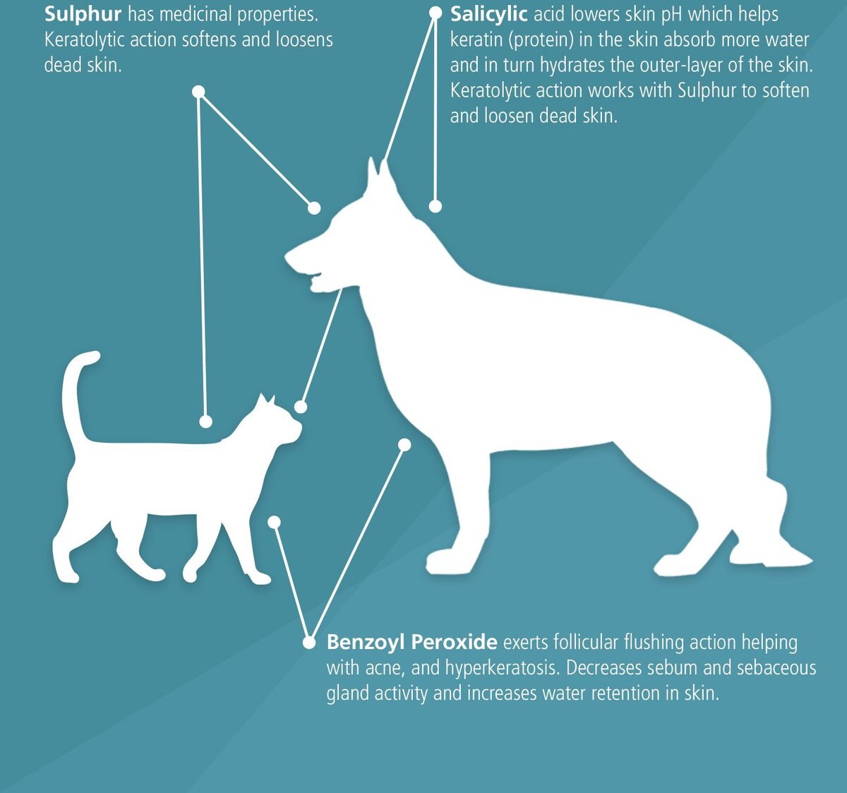 PET MD Benzoyl Peroxide Dog & Cat Shampoo, 12oz bottle