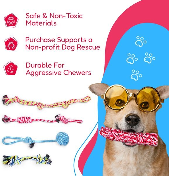 Pacific Pups Rescue "Roscoe" Crinkle Squeaky Dog Toy, Tan