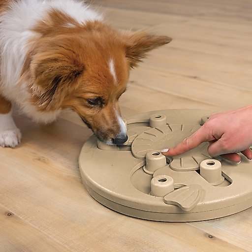 Nina Ottosson by Outward Hound Worker Composite Puzzle Game Dog Toy