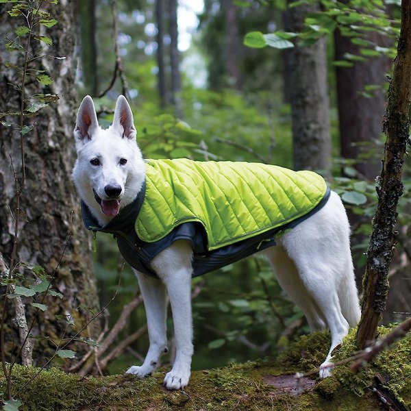 Outward Hound Telluride 2 In 1 Dog Coat Green Small