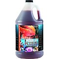 Microbe-Lift PL Pond & Lagoon Bacteria Water Treatment, 1-gal