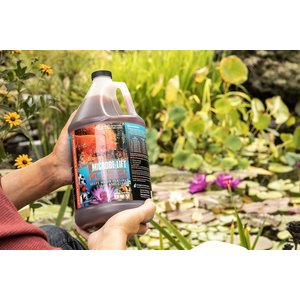 Microbe-Lift PL Pond & Lagoon Bacteria Water Treatment, 1-gal