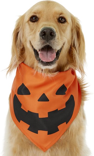 Frisco Jack O' Lantern Pumpkin Dog & Cat Bandana, Medium/Large slide 1 of 6