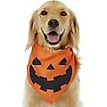 Frisco Jack O' Lantern Pumpkin Dog & Cat Bandana, Medium/Large