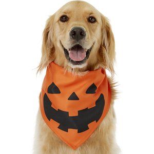 Frisco Jack O' Lantern Pumpkin Dog & Cat Bandana, Medium/Large