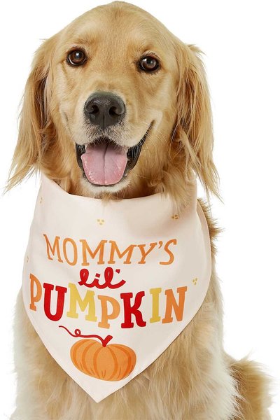 Frisco Mommy's Lil Pumpkin Dog & Cat Bandana, Medium/Large slide 1 of 6