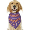 Frisco I Do Tricks for Treats Dog & Cat Bandana, Medium/Large