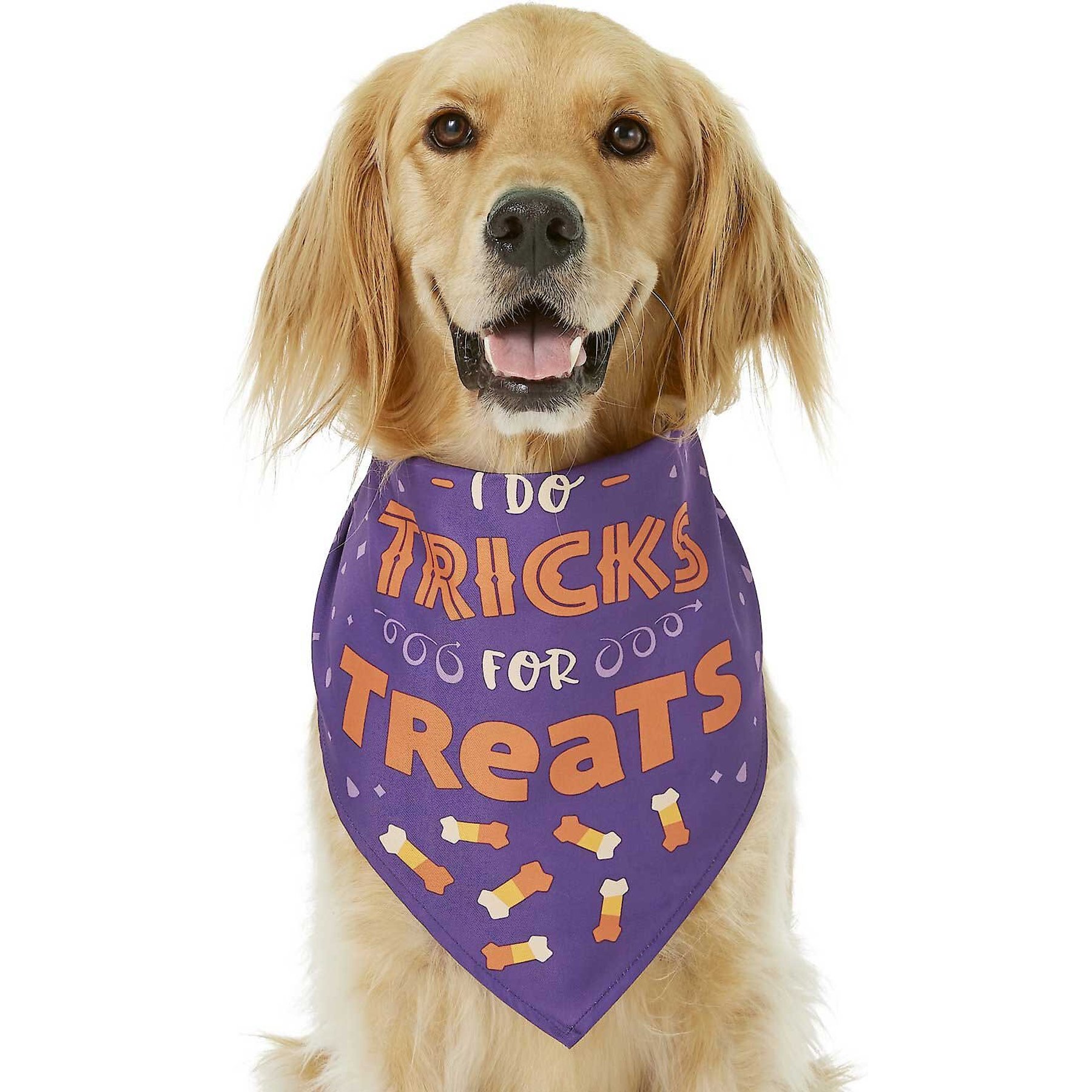 Frisco I Do Tricks For Treats Dog & Cat Bandana