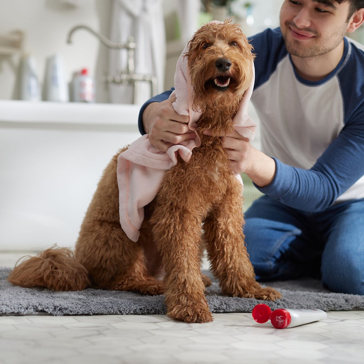 Chi conditioner outlet for dogs