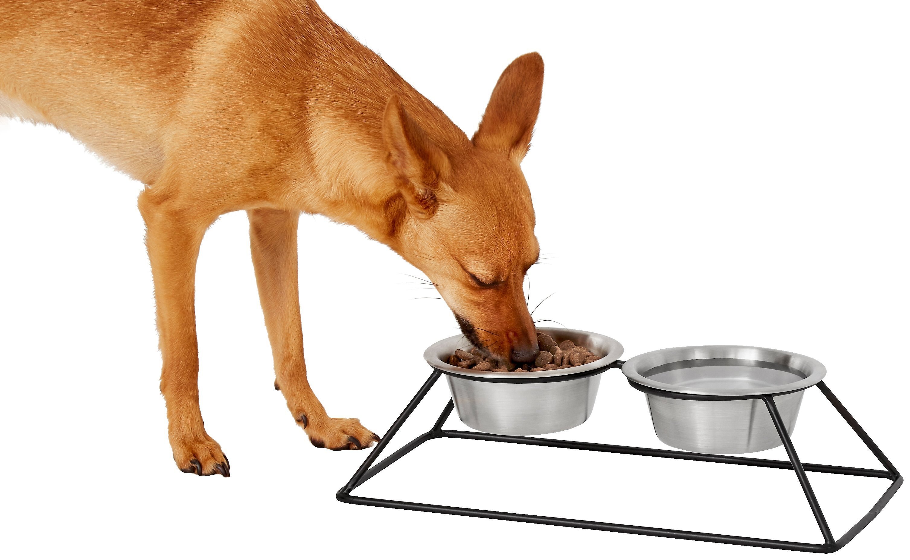 FRISCO Pyramid Elevated Stainless Steel Double Diner Dog Cat Bowl frisco-pyramid-elevated-stainless-steel-double-diner-dog-cat-bowl