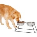 Frisco Pyramid Elevated Dog & Cat Diner, Large: 8 cup