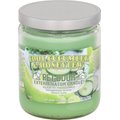 Pet Odor Exterminator Cool Cucumber & Honeydew Candle, 13-oz jar
