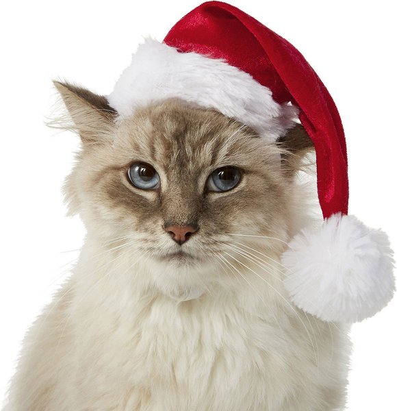 Frisco Holiday Dog & Cat Santa Hat, 1 count, X-Small/Small slide 1 of 7