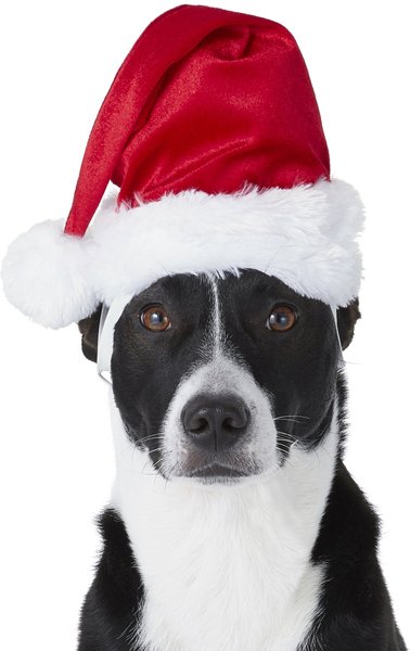Frisco Deluxe Holiday Dog & Cat Santa Hat, 1 count, Medium/Large slide 1 of 5