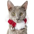 Frisco Jingle Bells Dog & Cat Holiday Collar with Bells, 1 count, X-Small/Small