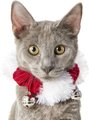Frisco Jingle Bells Dog & Cat Holiday Collar with Bells, 1 count, X-Small/Small