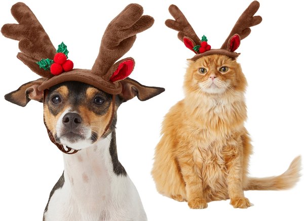 Frisco Holiday Antler Headband Dog & Cat Costume, X-Small/Small slide 1 of 6