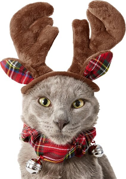 Frisco Holiday Antler Headband & Bell Collar Dog & Cat Costume, X-Small/Small slide 1 of 5