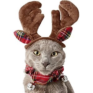 Frisco Holiday Antler Headband & Bell Collar Dog & Cat Costume, X-Small/Small