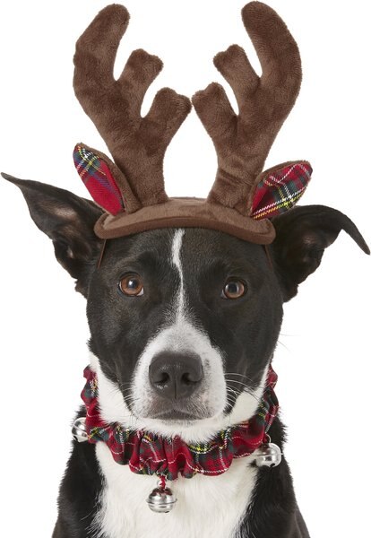 Frisco Holiday Antler Headband & Bell Collar Dog & Cat Costume, Medium/Large slide 1 of 5
