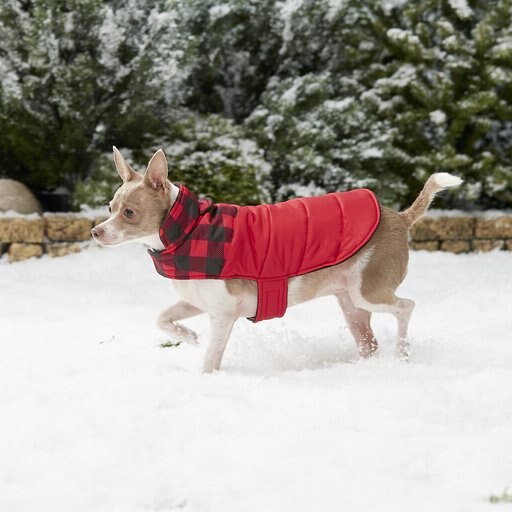 Frisco Mediumweight Boulder Plaid Insulated Dog & Cat Puffer Coat, Red, Small