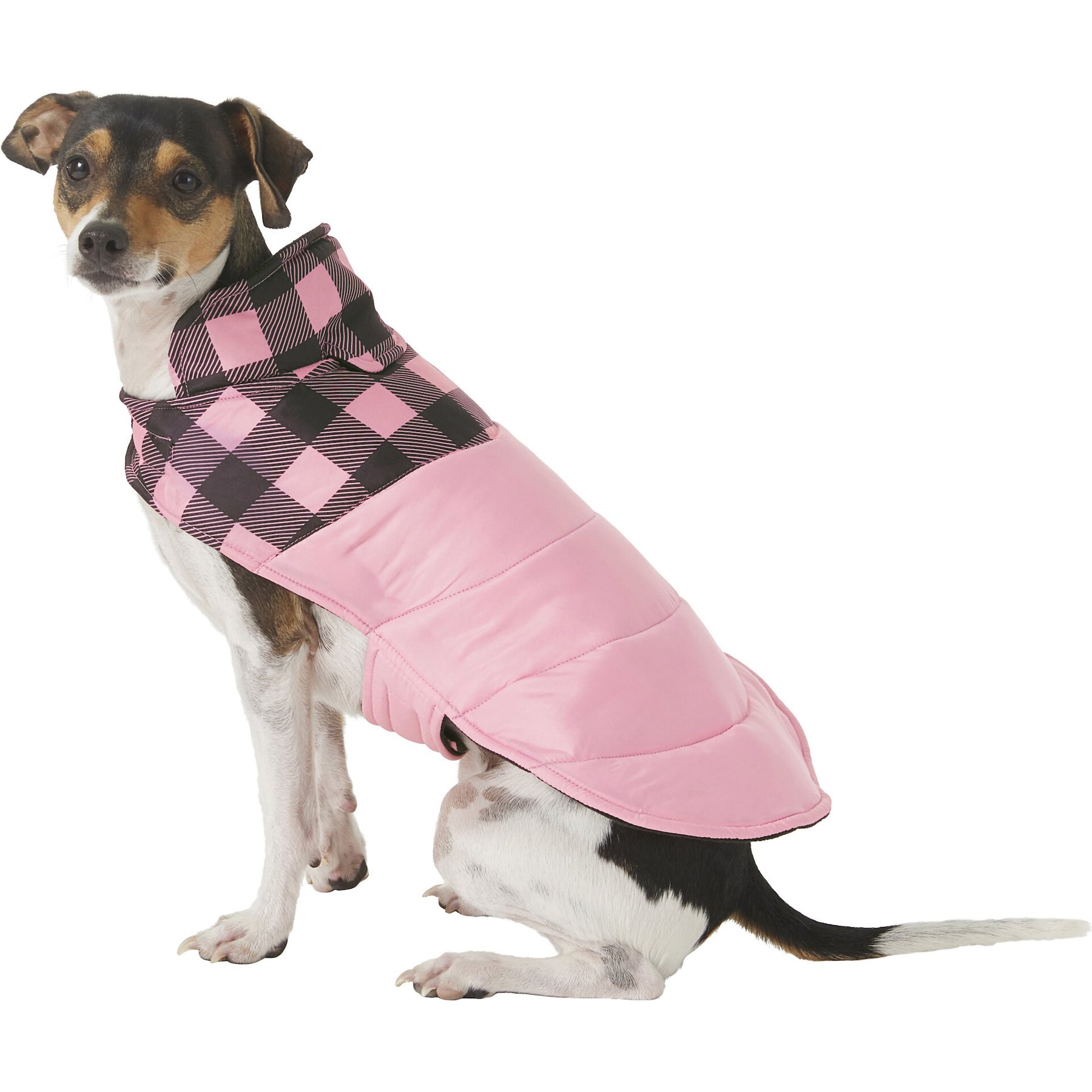 Black and White Chewy V Coat for Dogs and Cats
