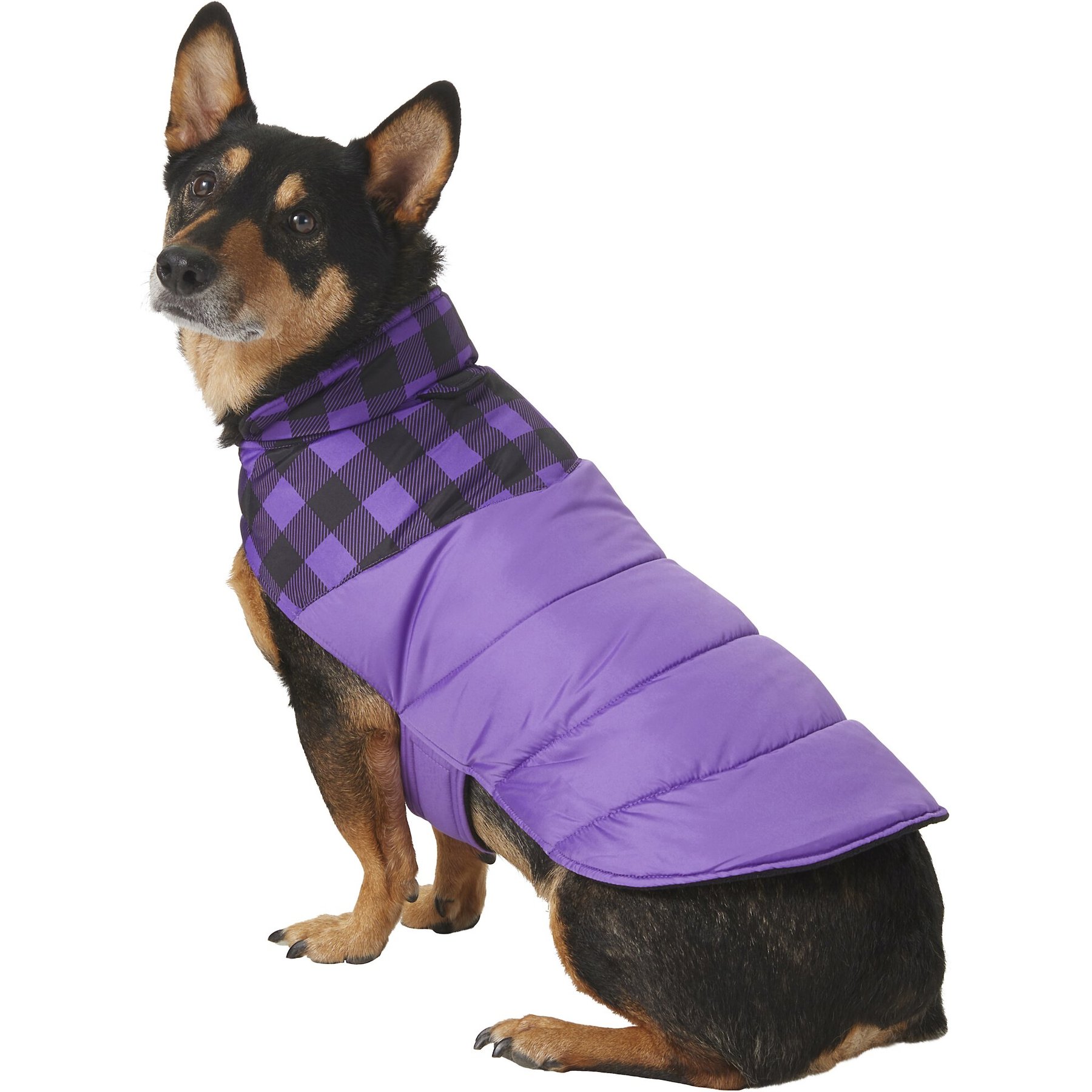 Petrageous designs kodiak dog coat hotsell