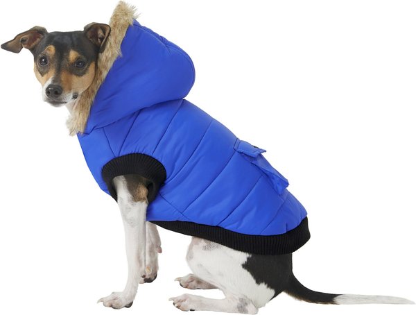 Frisco Anchorage Insulated Dog & Cat Parka, Blue, Small slide 1 of 10