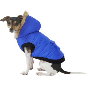 Frisco Anchorage Insulated Dog & Cat Parka, Blue, Small
