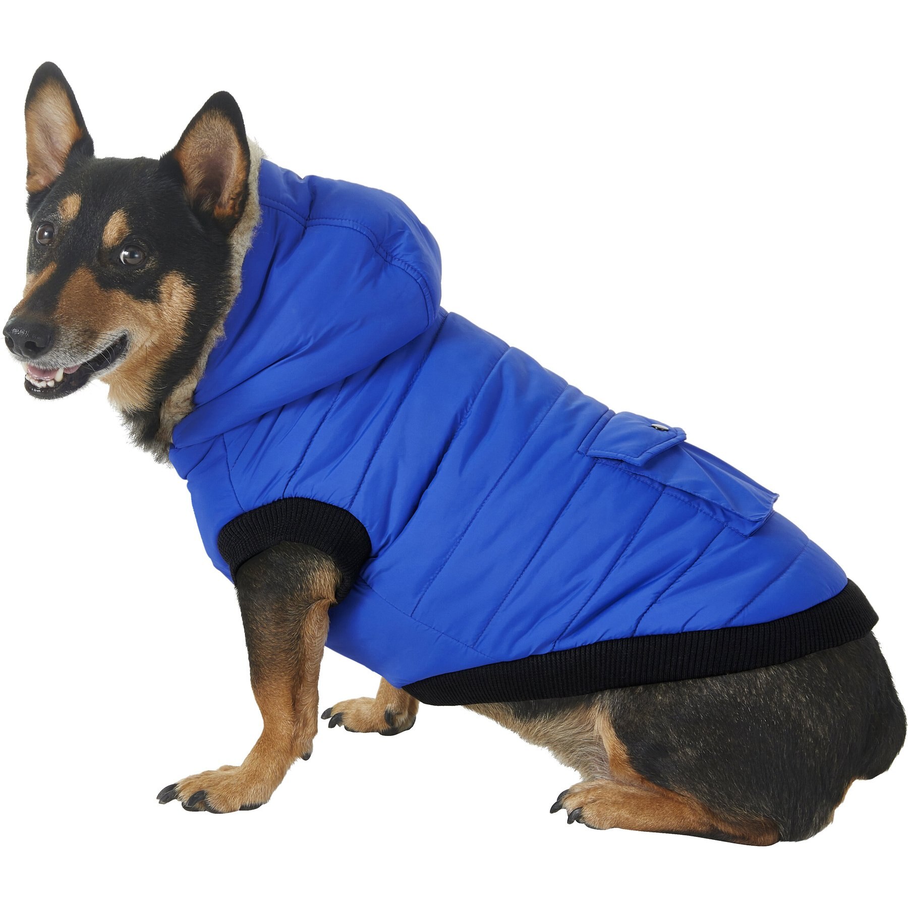 Frisco Boulder BLUE Plaid Insulated Dog & Cat Puffer Coat PICK