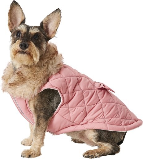 Frisco Mediumweight Aspen Insulated Quilted Dog & Cat Jacket with Bow, Medium
