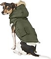 Frisco Portland Insulated Dog & Cat Parka, Olive, Small